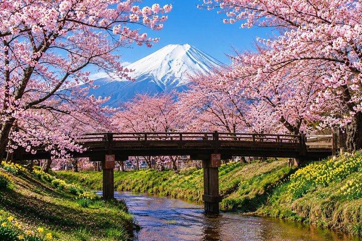 東京 : 富士山、忍野八海、御殿場アウトレット1 日帰りバスツアー