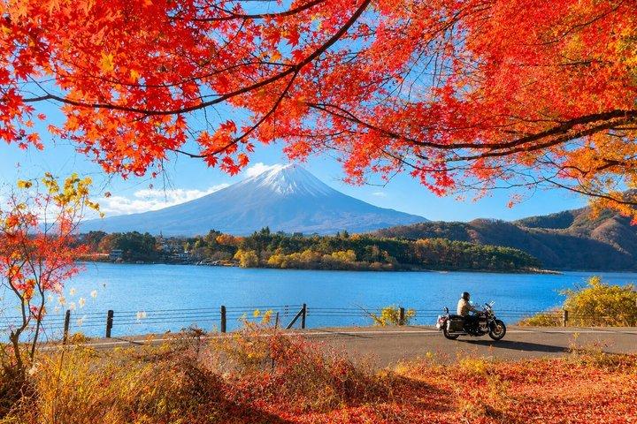 東京 : 富士山、忍野八海、御殿場アウトレット1 日帰りバスツアー