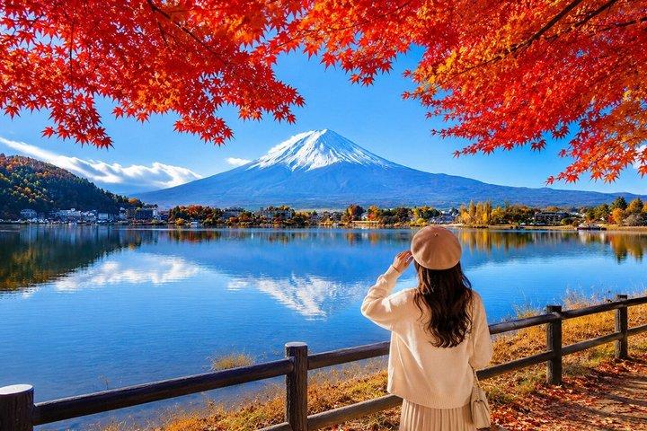 Tokyo: Mt. Fuji, Oshino Hakkai and Gotemba Outlets 1-Day Bus Tour