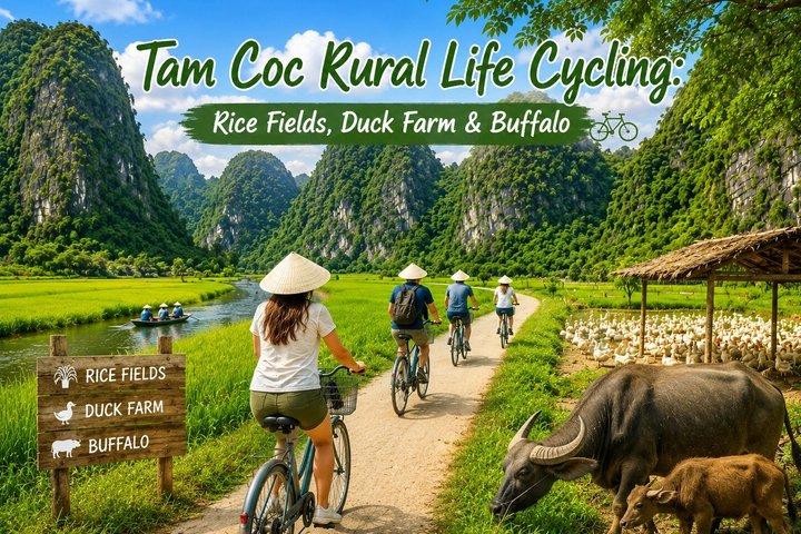 タムコック・ヒドゥンバイクツアー：田舎の村、田んぼ、アヒル農場