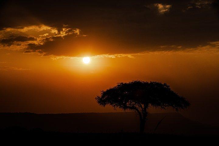 7 Days Machame Route Trek Mount Kilimanjaro