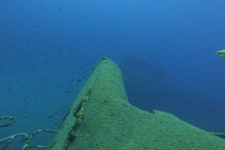 パロス認定ダイバー2ダイブボートトリップ：リーフ、廃船、洞窟
