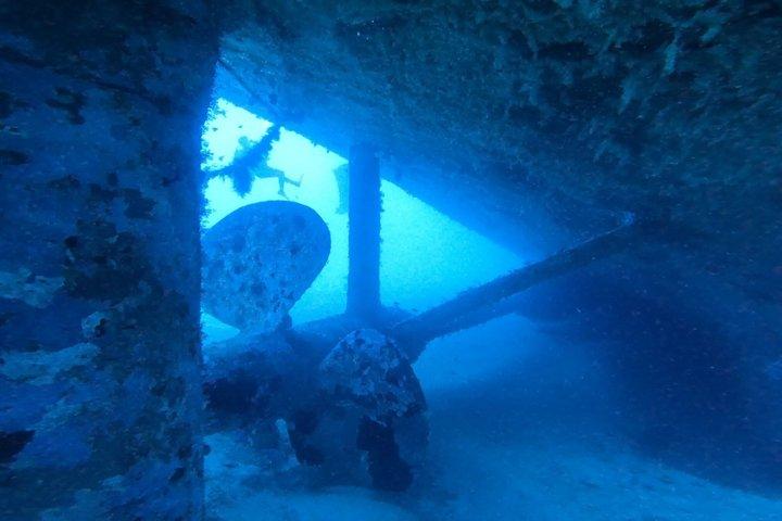 パロス認定ダイバー2ダイブボートトリップ：リーフ、廃船、洞窟