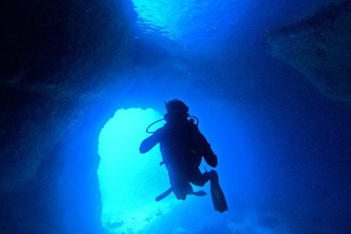 パロス認定ダイバー2ダイブボートトリップ：リーフ、廃船、洞窟