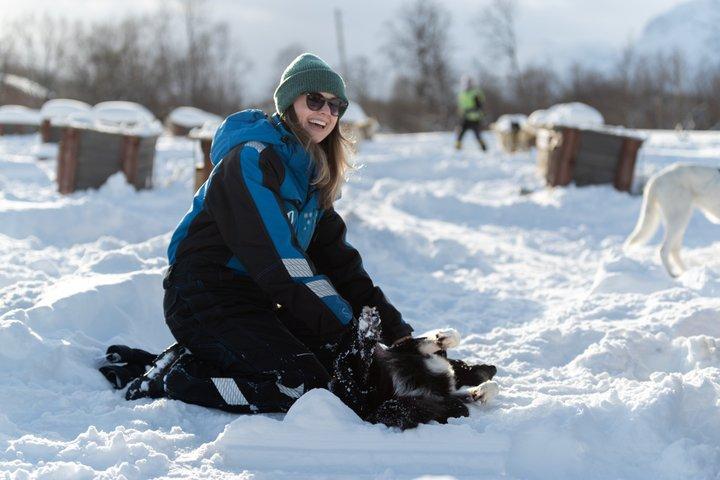 トロンソからの簡単な犬ぞりツアーとケネル訪問