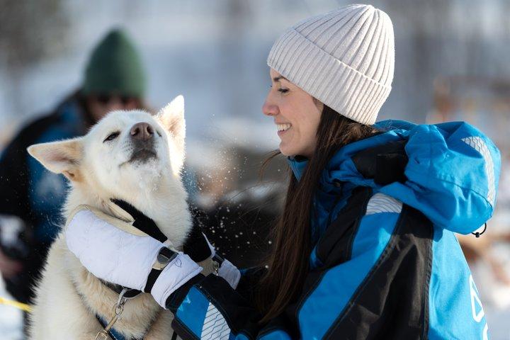 トロンソからの簡単な犬ぞりツアーとケネル訪問