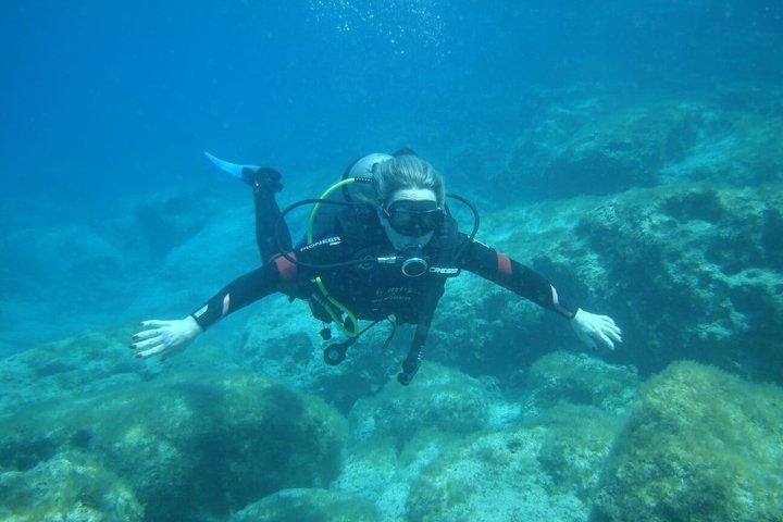 Discover Scuba Diving with Turtles and Underwater Sculptures