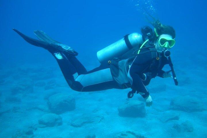 Discover Scuba Diving with Turtles and Underwater Sculptures