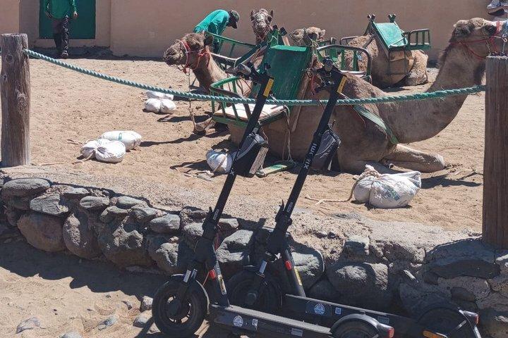 ステップ e-スクーター ツアー プラヤ・イングレス + マスプロマス砂丘でのラクダ乗り