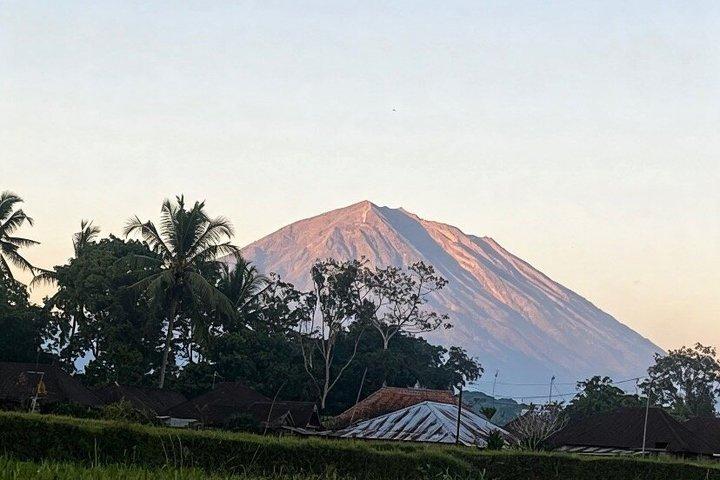 ウブドハイライトツアー：自然、文化、寺院体験