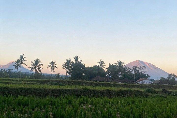 ウブドハイライトツアー：自然、文化、寺院体験