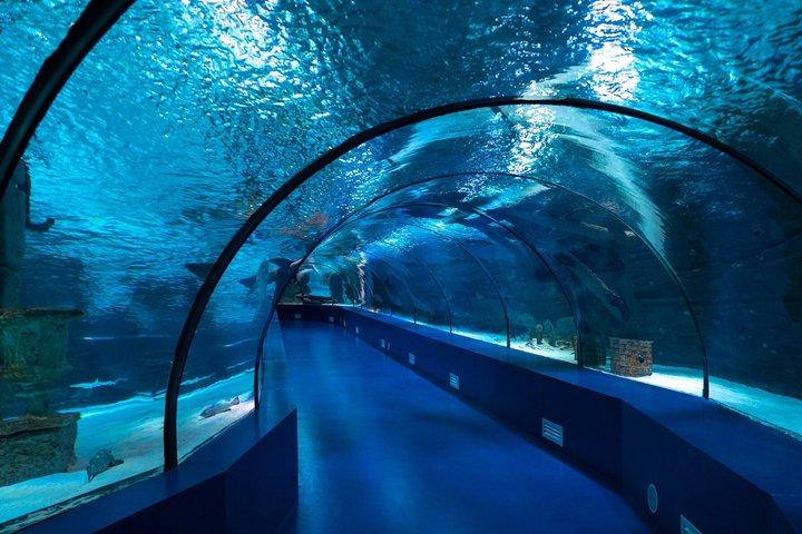 Antalya Aquarium 5 in 1 Mega Combination Ticket