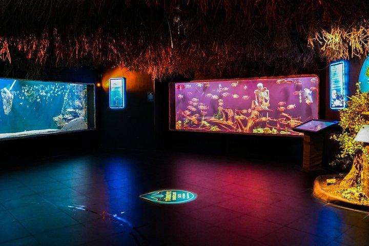 Antalya Aquarium 5 in 1 Mega Combination Ticket