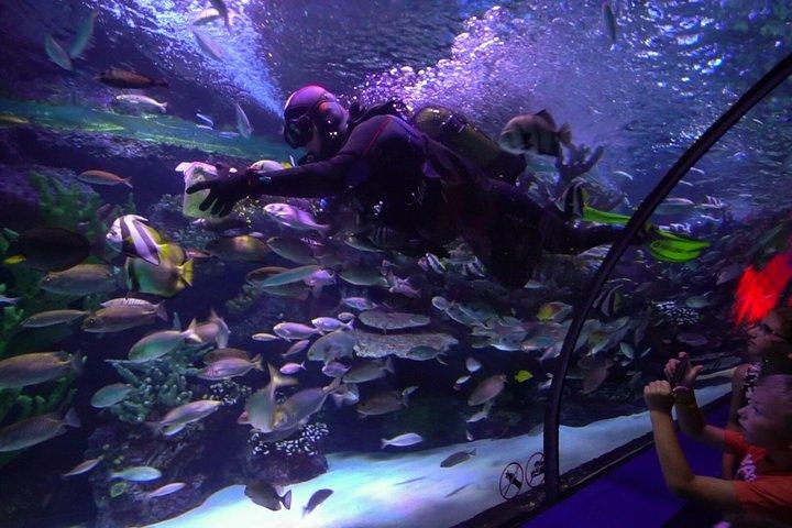 Antalya Aquarium 5 in 1 Mega Combination Ticket