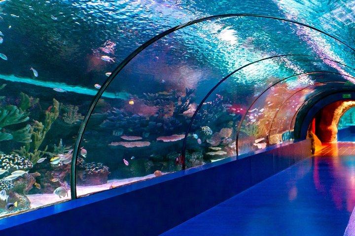 Antalya Aquarium 5 in 1 Mega Combination Ticket