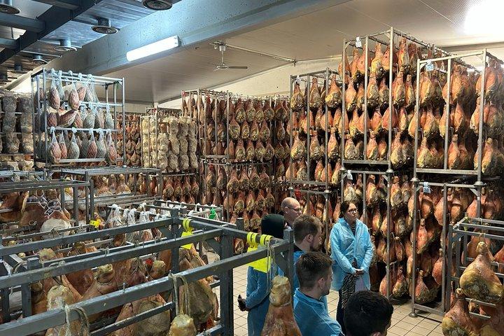 モデナテイスティング：プロシュット、パルミジャーノ、バルサミコ、ワイン、輸送