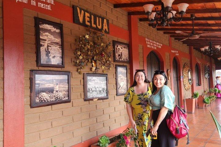 Shared Tour to Hierve el Agua From Oaxaca