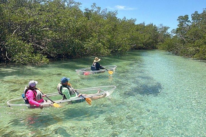 Sarasota Clear Kayak Tour