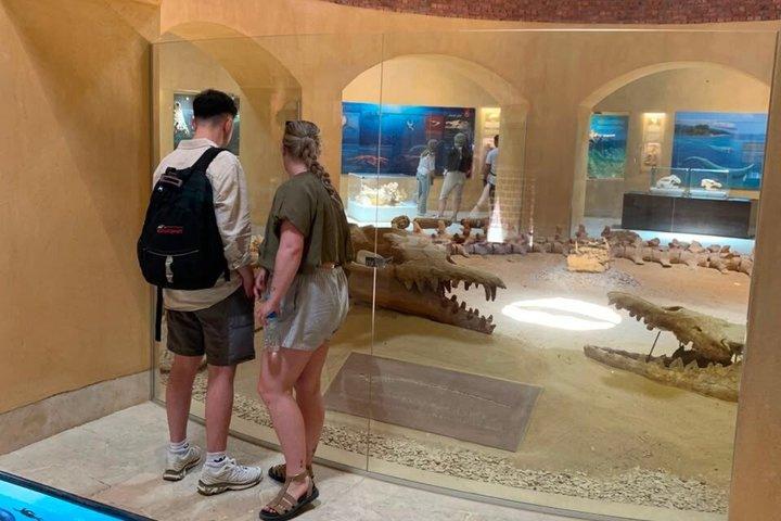 プライベートファヨーム日帰り旅行 ウールバレーとワディ・エル・ライアン