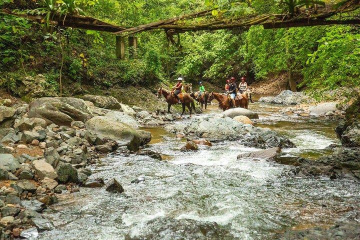 プエルト バジャルタからのシエラ マドレでの乗馬ツアー