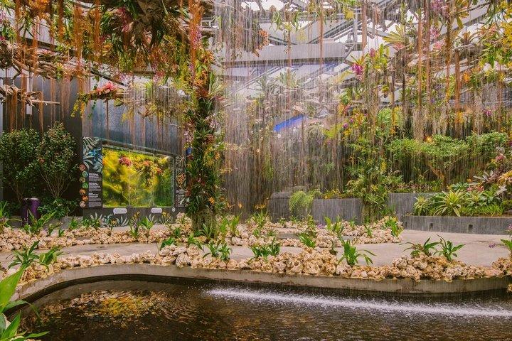 シンガポール・ガーデンズ・バイ・ザ・ベイ・フラワードーム・クラウドフォレスト