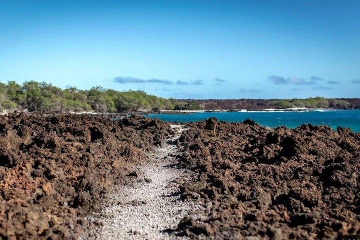 Fun! Open-Air Black Sand Beach & Lava Fields Sight-Seeing Tour!