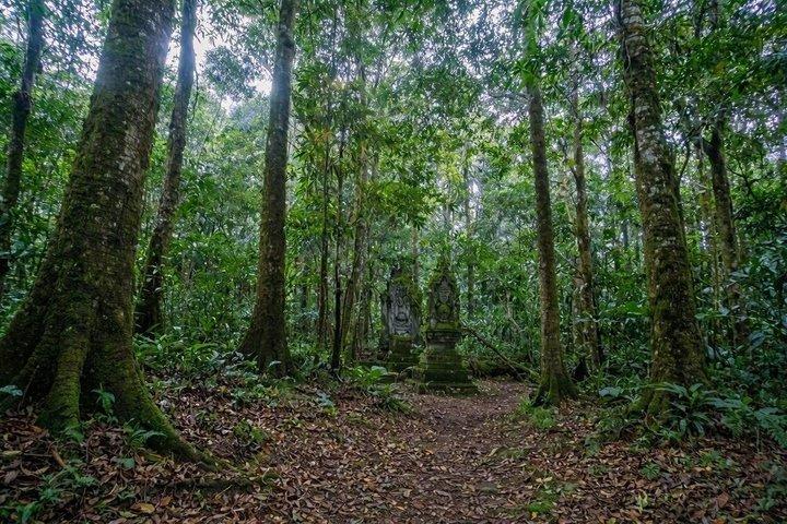 究極のウブドプライベートアドベンチャー：滝、段々畑、寺院を巡る旅