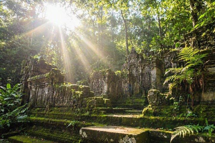 究極のウブドプライベートアドベンチャー：滝、段々畑、寺院を巡る旅