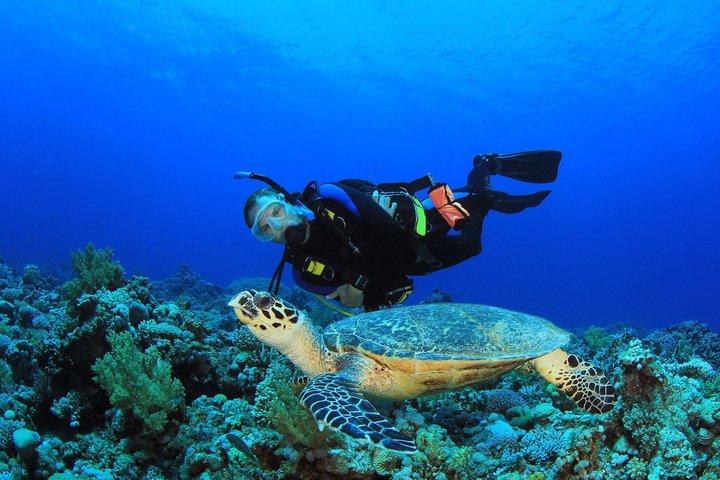 フェティエ ケコヴァ フェティエ 18～39歳向けクルーズ 7日間