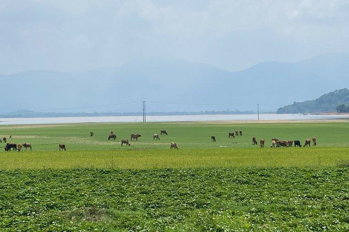 サイゴンから西部高地を経由してダラットまでの4日間のバイク旅行