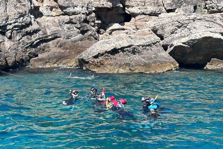 ソレントの朝のRIBボートシュノーケリング：海洋生物学者と一緒に行く2つのスポット