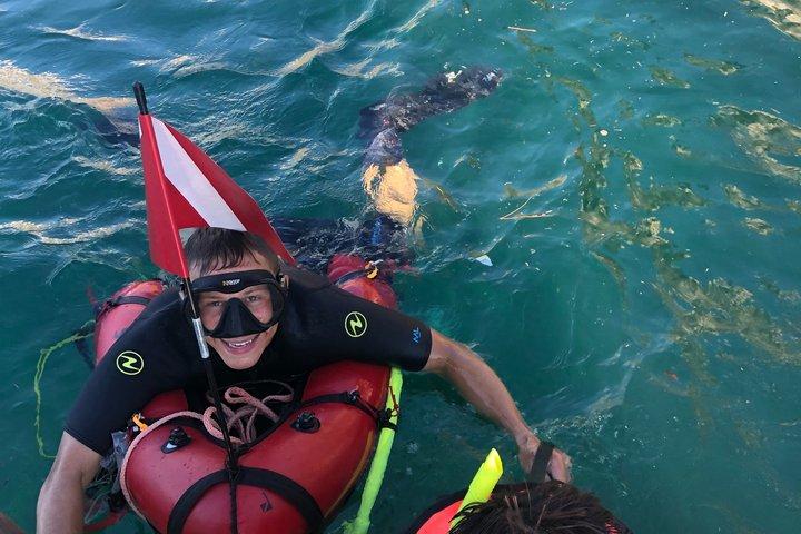 ソレントの朝のRIBボートシュノーケリング：海洋生物学者と一緒に行く2つのスポット