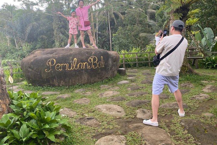 ウブドハイライトツアー：自然、文化、寺院体験