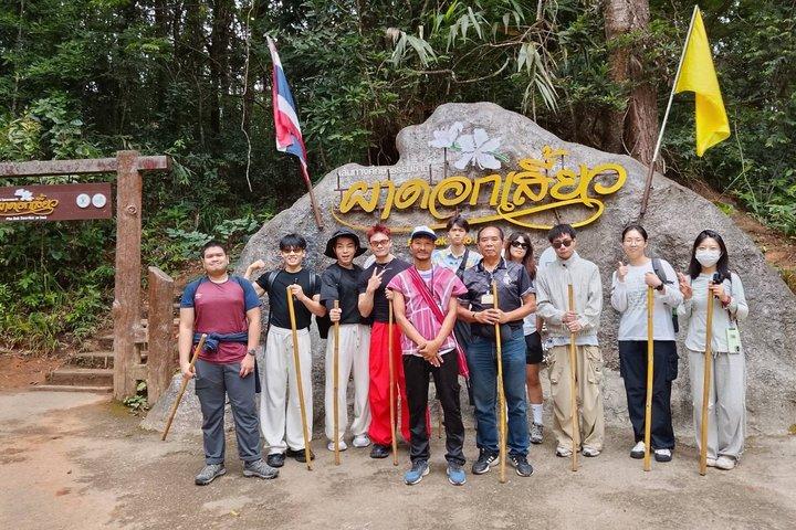 チェンマイ ドイ・インタノン国立公園 日帰りツアーとハイキングの選択肢