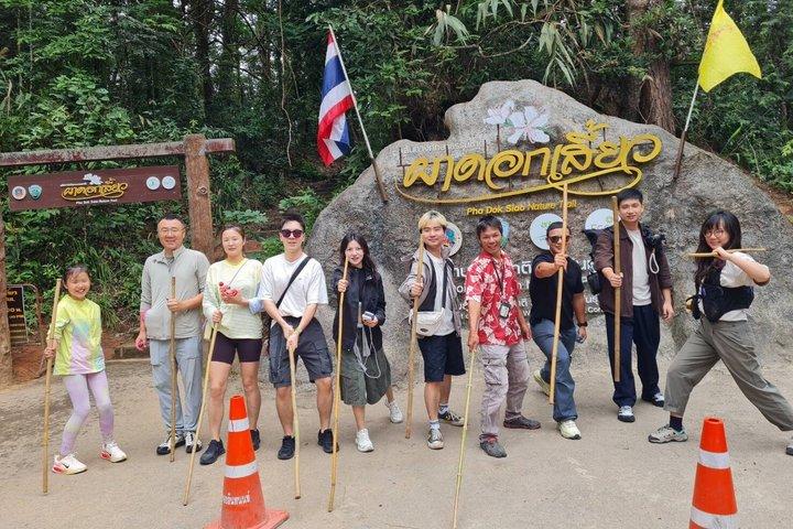 チェンマイ ドイ・インタノン国立公園 日帰りツアーとハイキングの選択肢