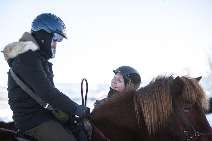 Buggy Safari & Horseback Riding Wild Combo Tour