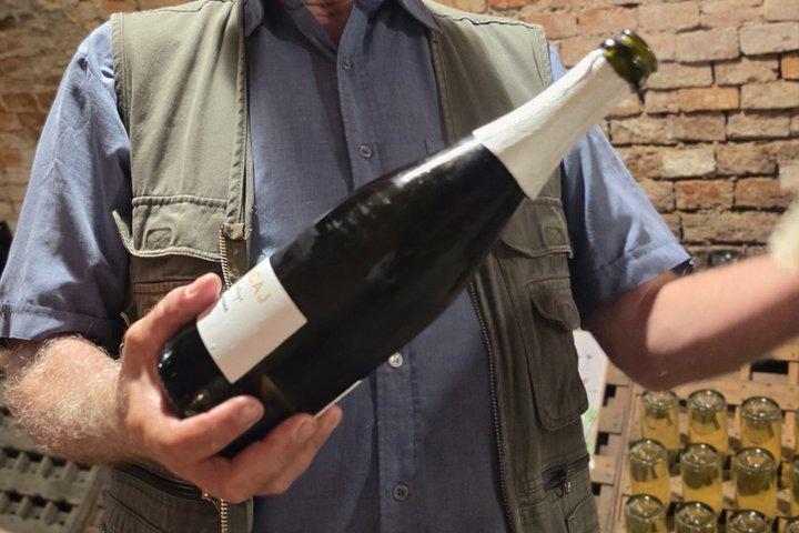 Degustazione di Spumante in una Piccola Cantina Familiare