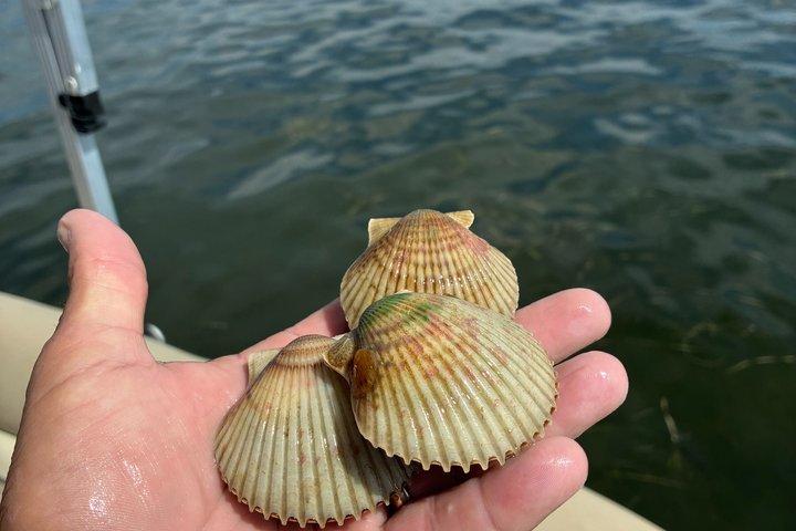 Actividad privada en la costa natural de Florida