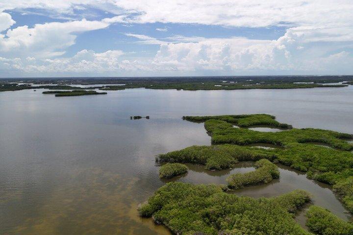 Actividad privada en la costa natural de Florida