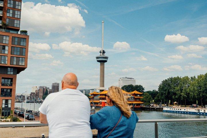 Rotterdam Highlights & Harbour Tour