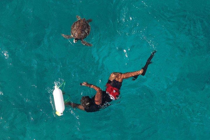 Aruba Turtle Snorkeling Private Tour with Underwater Footage