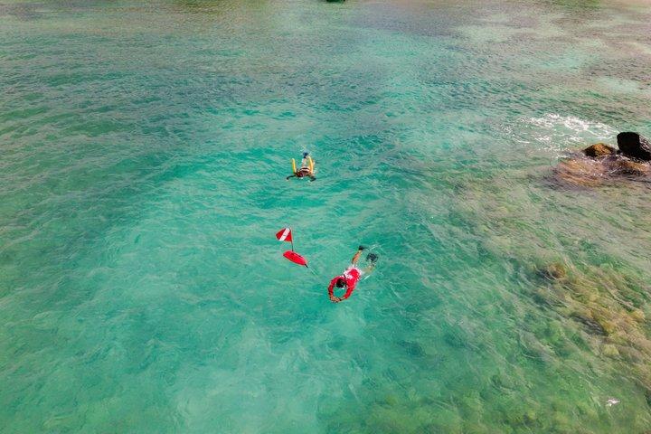 Aruba Turtle Snorkeling Private Tour with Underwater Footage