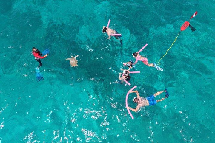 Aruba Turtle Snorkeling Private Tour with Underwater Footage