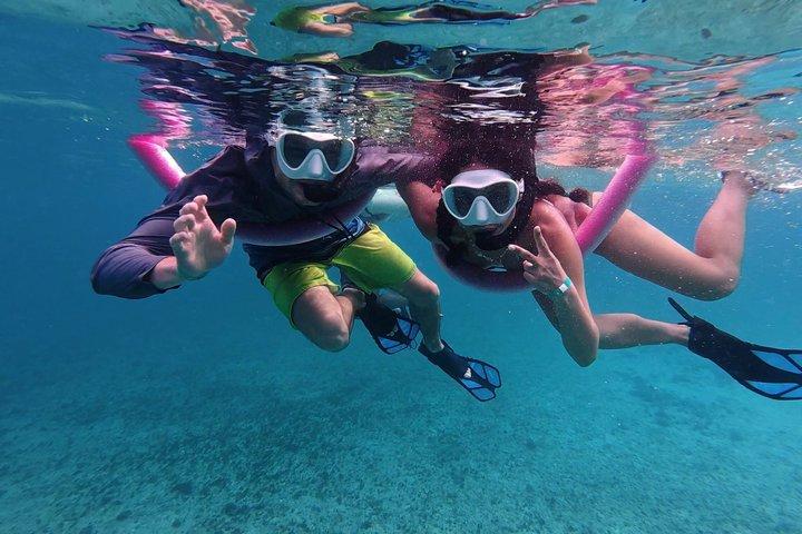 Aruba Turtle Snorkeling Private Tour with Underwater Footage