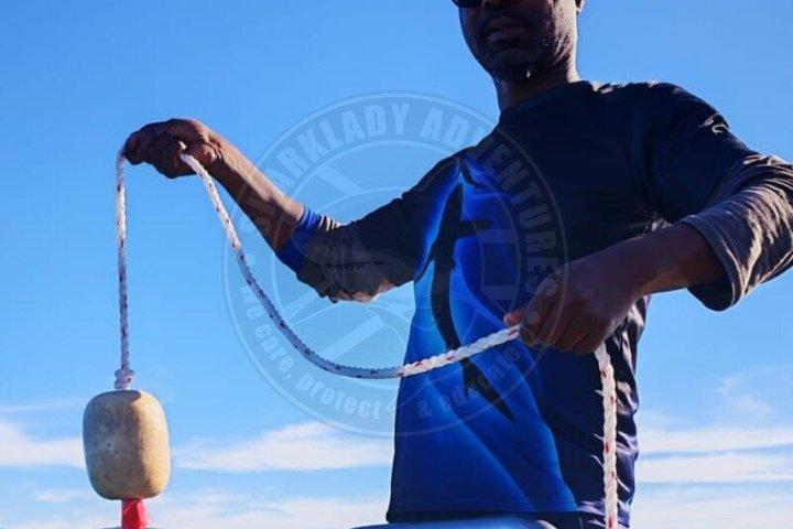 Haikäfigtauchen mit kostenloser Luft im Käfig von Gansbaai