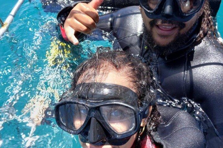 Haikäfigtauchen mit kostenloser Luft im Käfig von Gansbaai