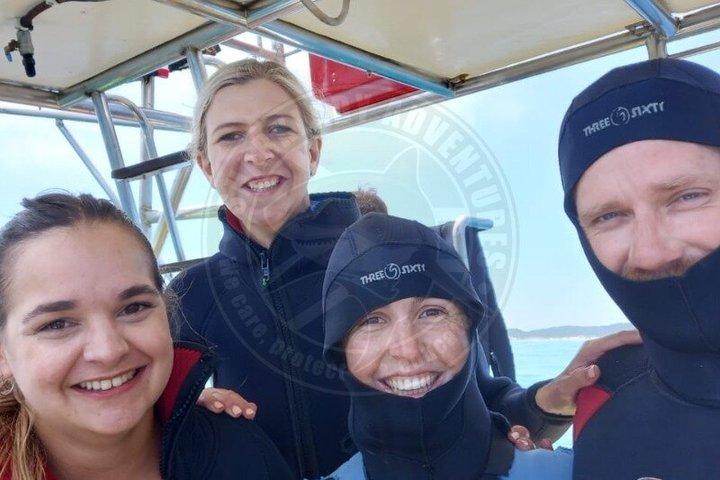 Haikäfigtauchen mit kostenloser Luft im Käfig von Gansbaai