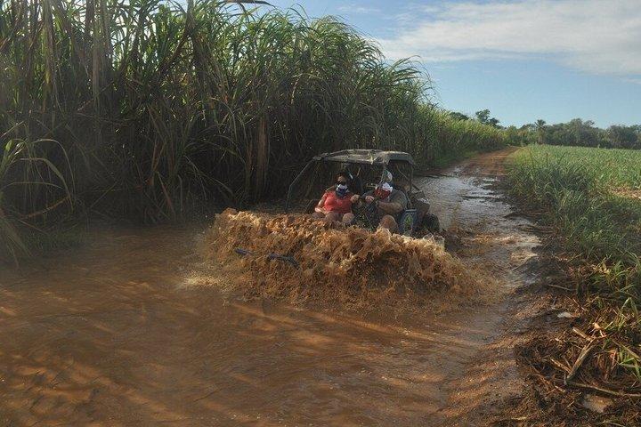 Bayahibe: Extreme Buggy Ride and Muddy Jungle Trails