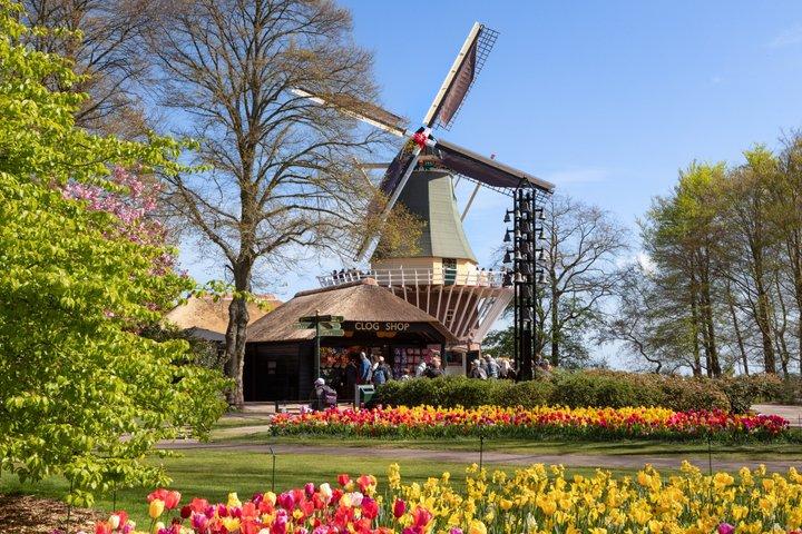 アムステルダム発：キューケンホフ庭園＆風車クルーズツアー