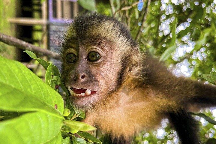 アマゾン川での3日間2泊